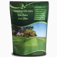 Outsidepride Maya (Blackjack II) Bermuda Grass Seed (5 lb)