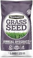 Pennington Annual Ryegrass Retail Bag to Overseed Warm Season Grasses, 25 lb