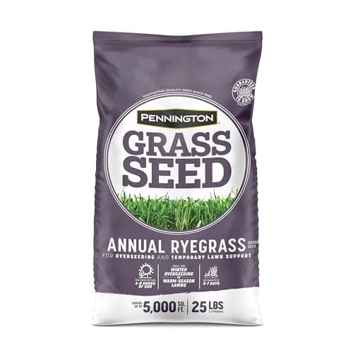 Annual Ryegrass seed product packaging