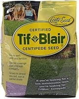 TifBlair Centipede Grass Seed (1 lb, covers up to ~4,000 sq ft)