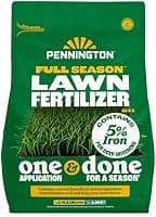 Pennington Full Season 32-0-5