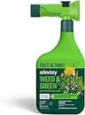 IMAGE Southern Lawn Weed Killer