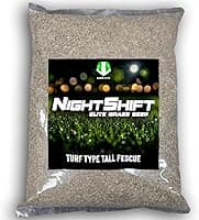 NightShift Turf Type Tall Fescue Seed 25 lb