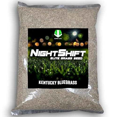 NightShift Kentucky Bluegrass Seed (25 lb)