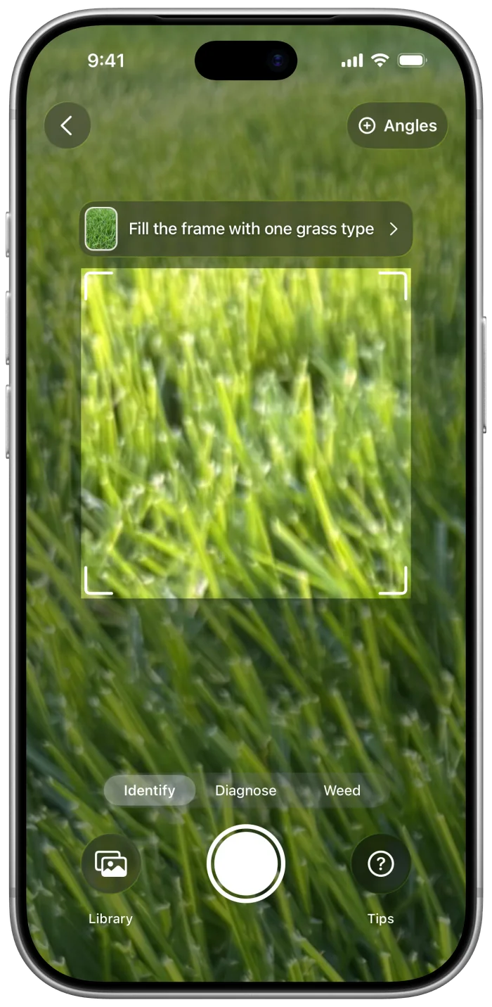 The app's camera framing a close-up of a lawn