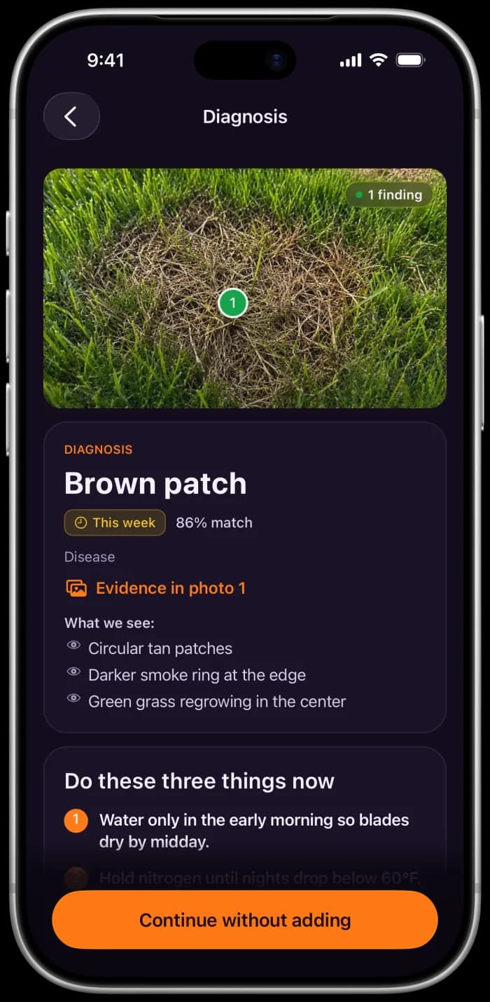 Diagnosis result naming the likely cause, what the app saw in the photo, and what to do now