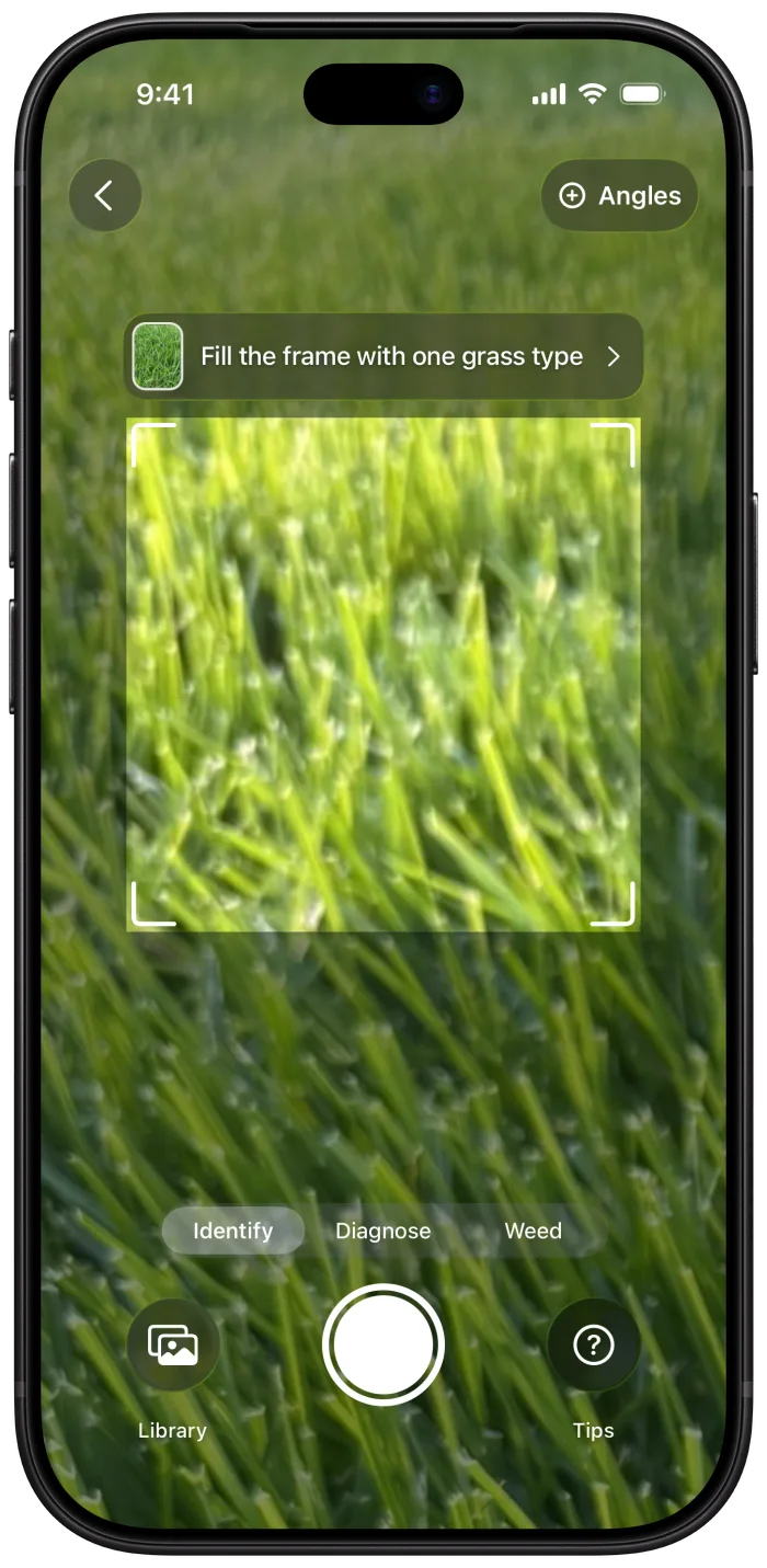 The app's camera framing a close-up of a lawn