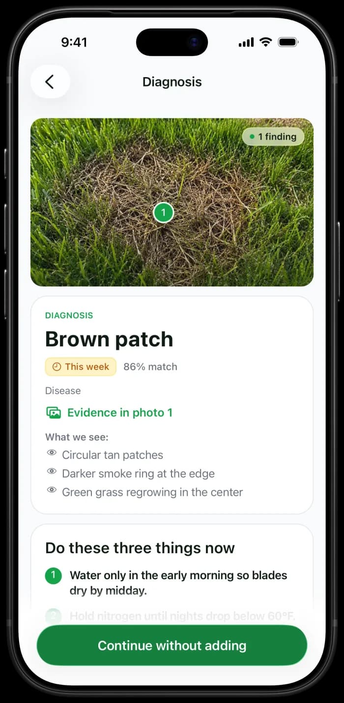 Diagnosis result naming the likely cause, what the app saw in the photo, and what to do now