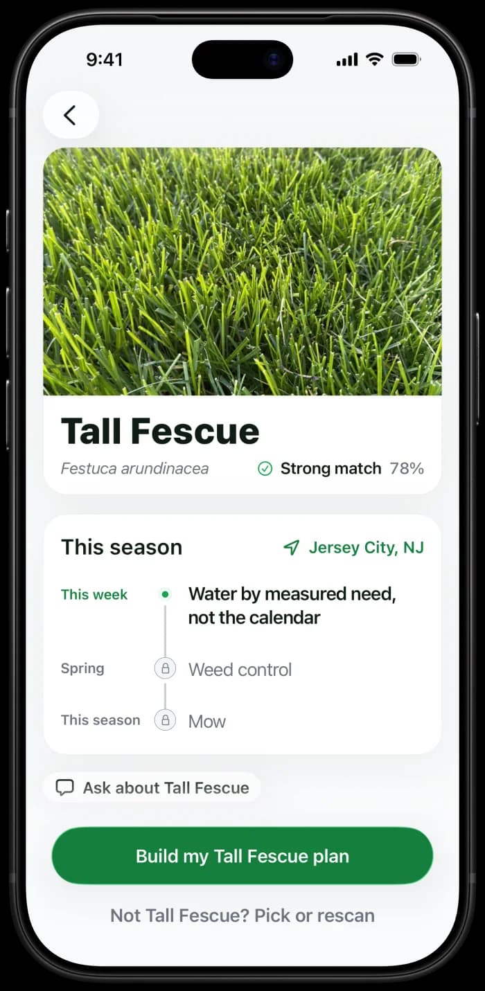 Grass ID result showing the grass type, how sure the app is, and this season's tasks
