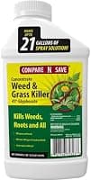 Compare-N-Save Concentrate Glyphosate Grass & Weed Killer, 32 oz