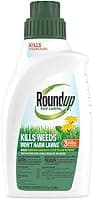 Roundup for Lawns Concentrate