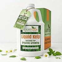 GS Plant Foods Liquid Kelp Fertilizer (1 gal, OMRI listed)