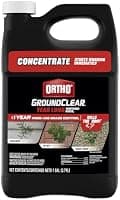 Ortho GroundClear Year Long Vegetation Killer2 Concentrate, 1 gal.