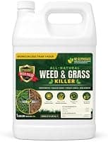 Natural Armor All-Natural Weed & Grass Killer, Glyphosate-Free (1 Gallon)