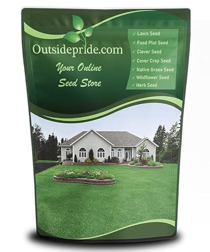 Outsidepride Perennial Buffalo Grass Seed