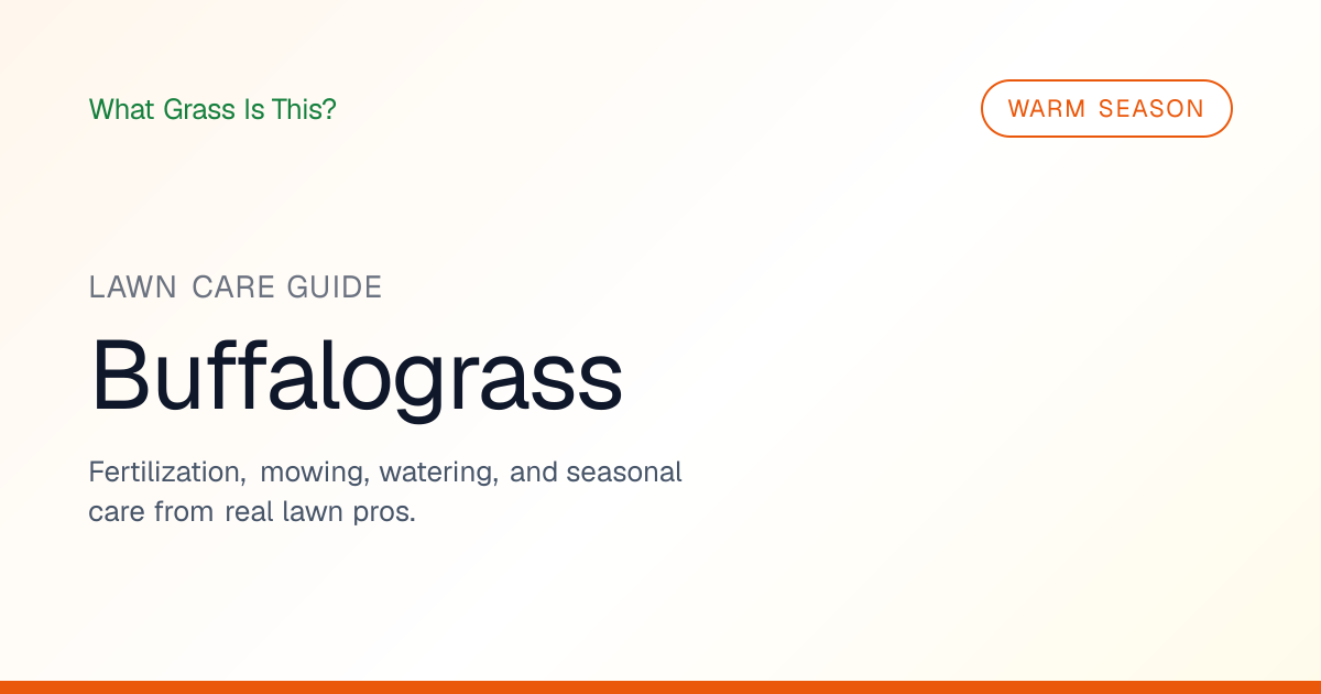 Buffalograss: Native Prairie Lawn Guide