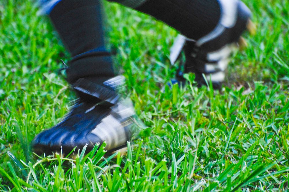 Understanding Summer Weeds and Their Impact photo