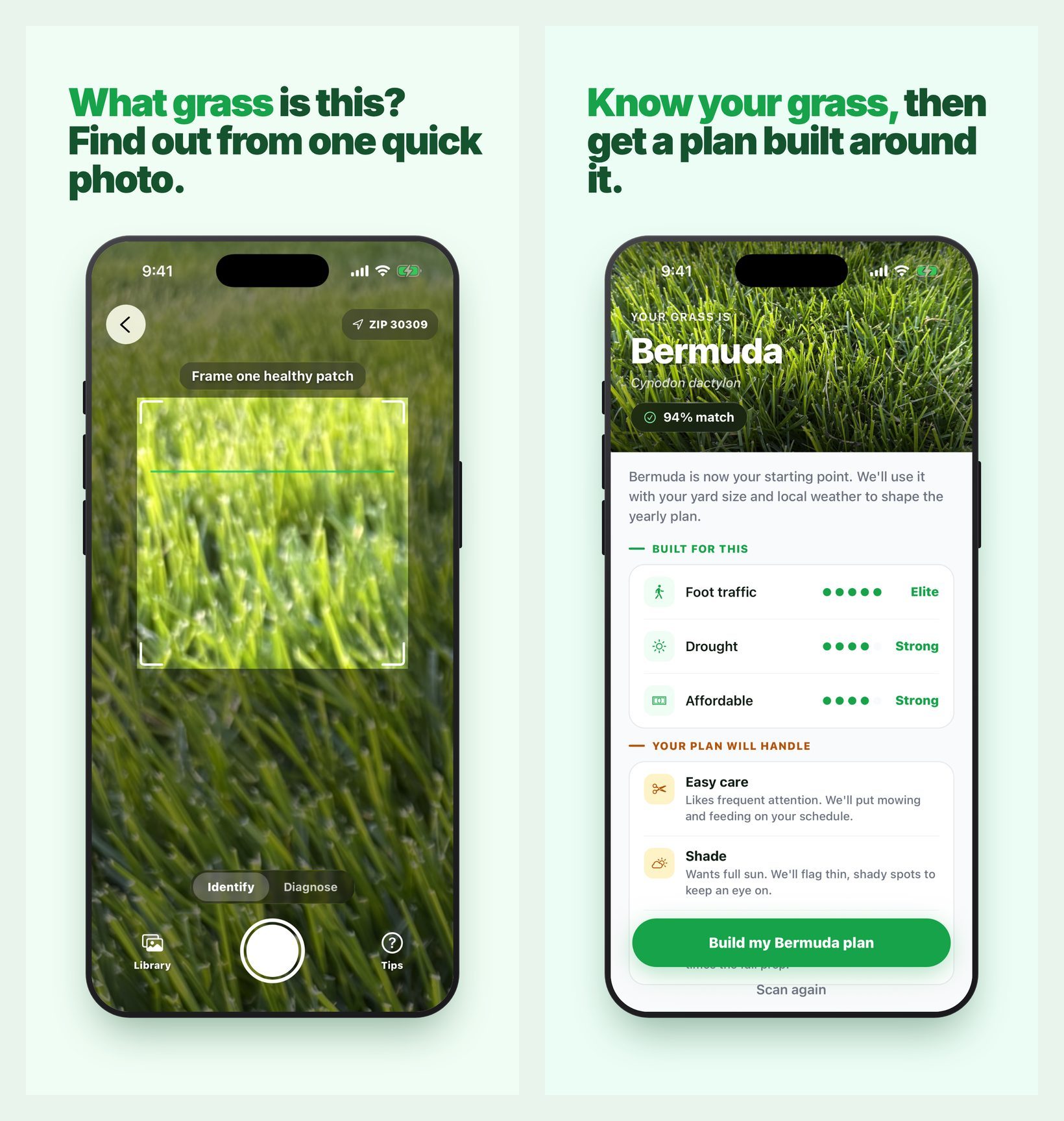 What Grass Is This? iPhone app: the camera scan screen framing a patch of grass, and the result screen identifying Bermuda with a 94% match and its strengths