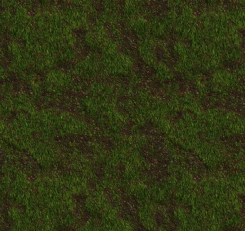 Fertilizing lawn grass