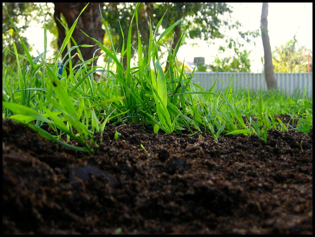 Master the Art of Soil Leveling