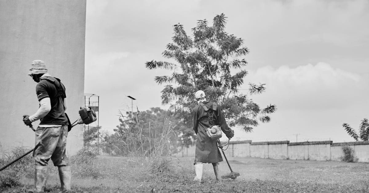 Photo by Gift Omoh on Pexels Understanding Your Needs Before You Buy photo