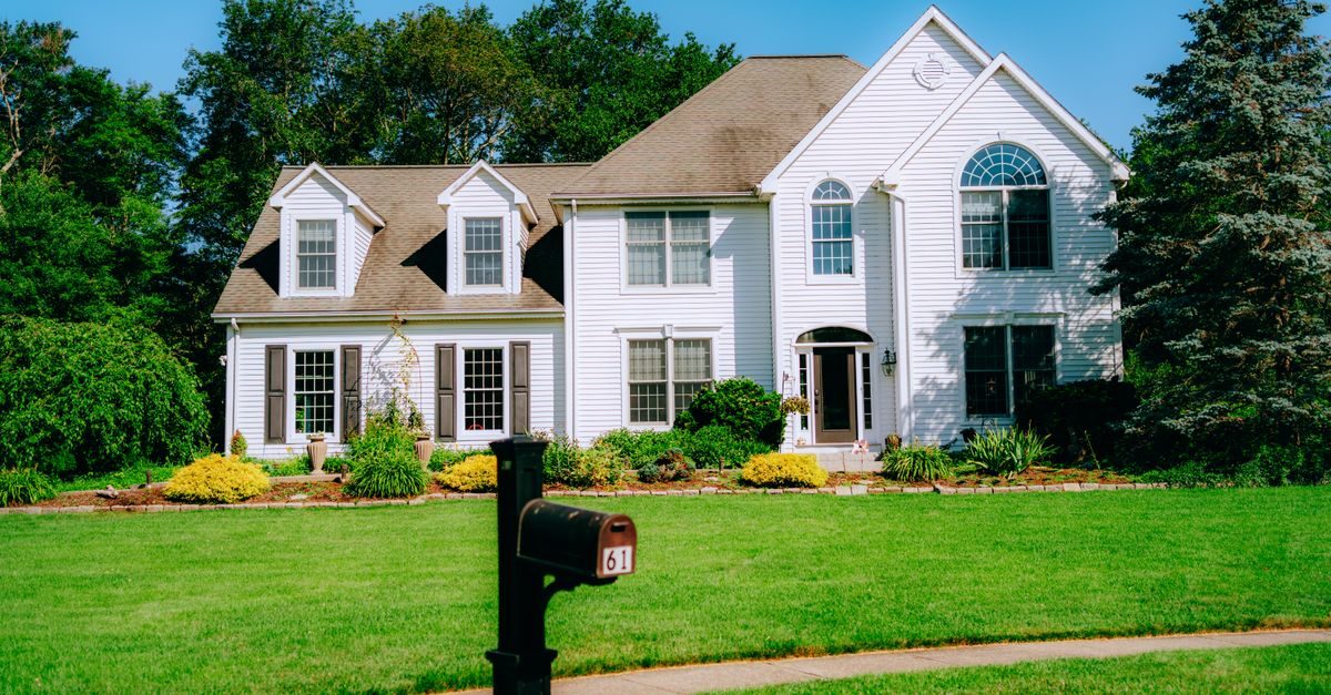 Types of Grass in Oklahoma: The Common Lawn Grasses