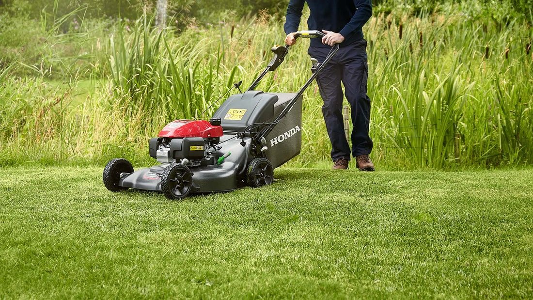 Essential Lawn Care Tools Every Homeowner Needs (Tiered Kit List)