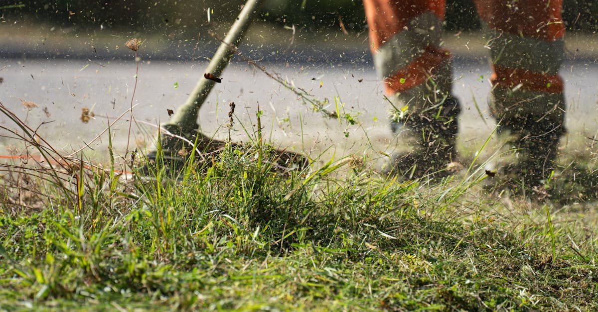 Know Your Lawn Before You Buy Anything photo