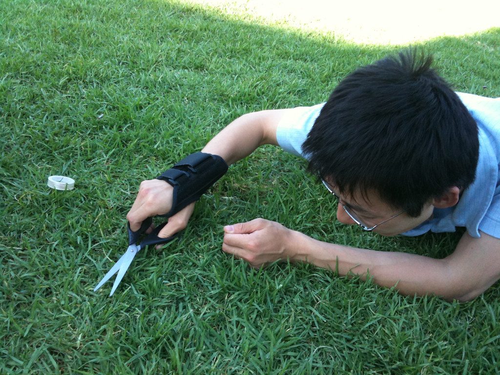 How to Choose a DIY Lawn Care Plan (2026 Comparison)
