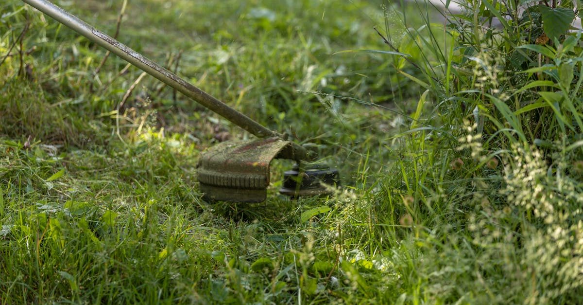 5 Ways to Cut Your Lawn Care Costs
