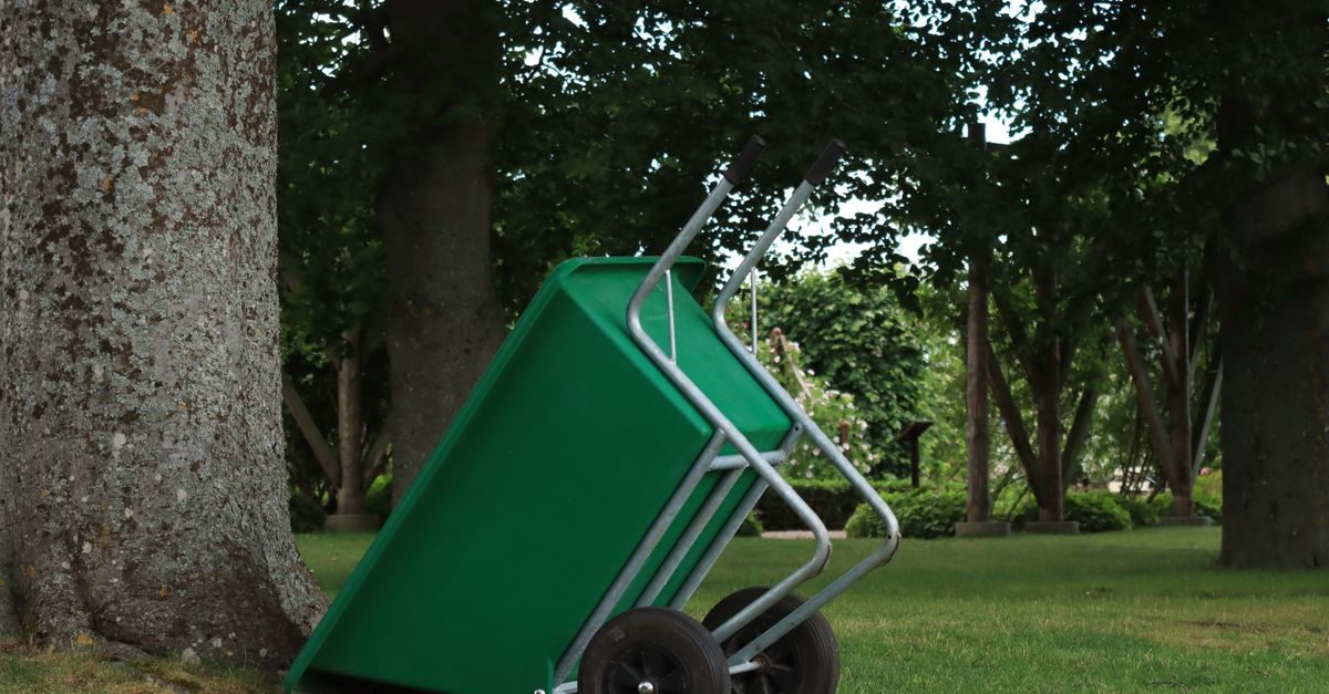 How to Choose the Right Centipede Grass Fertilizer in 2026