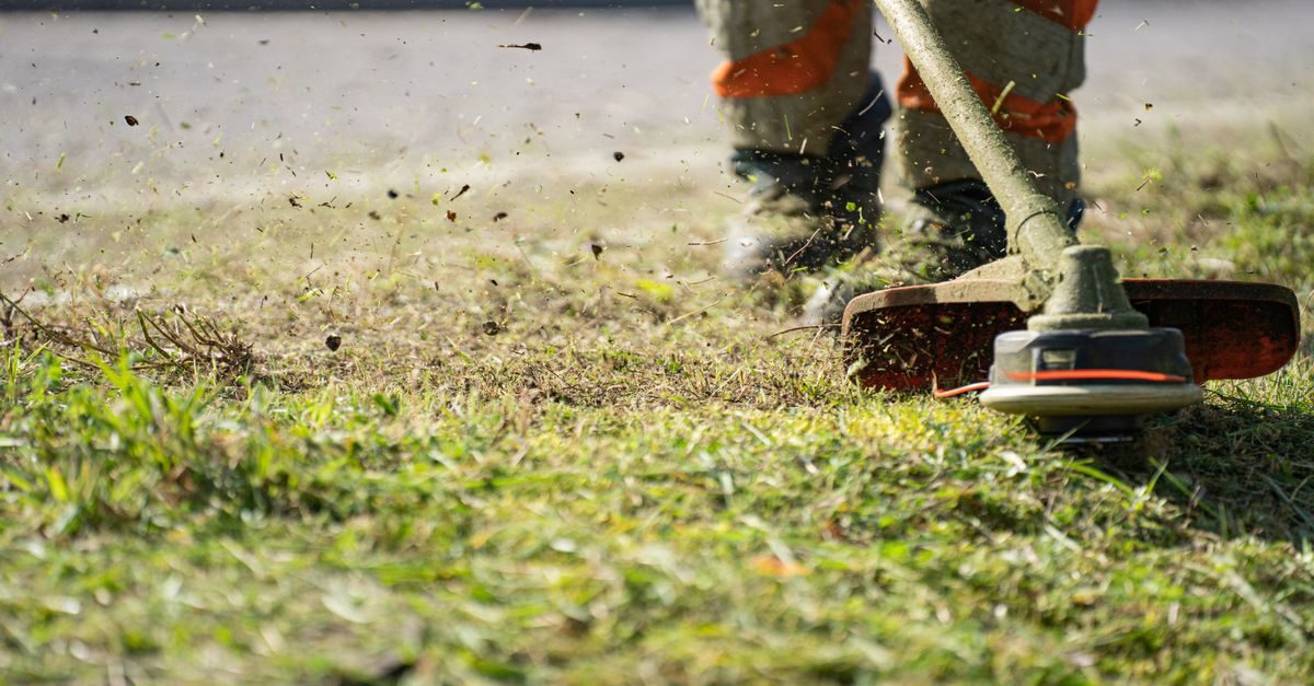 A string trimmer cutting grass along a paved edge, clippings flying