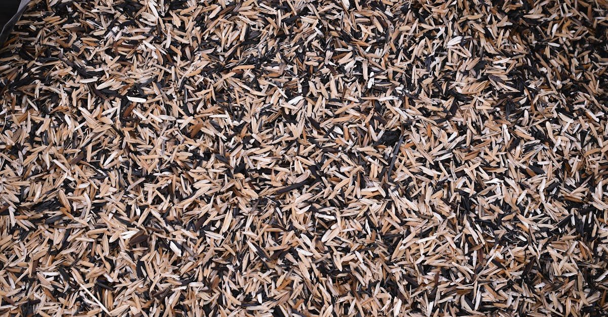 Do You Need to Add Earthworms to Your Yard? photo