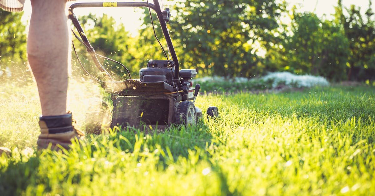 Photo by Magic K on Pexels Best Lawn Mowers in 2026 by Yard Size and Situation photo