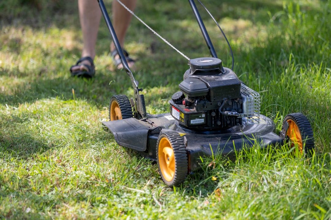 Managing a Clover-Grass Lawn Over Time