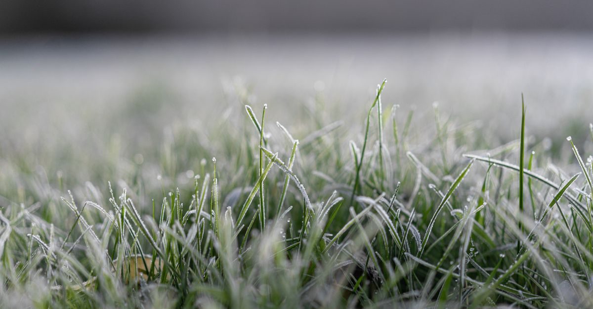 Mississippi Bermuda Fertilizer Schedule: When to Fertilize Bermuda in Mississippi
