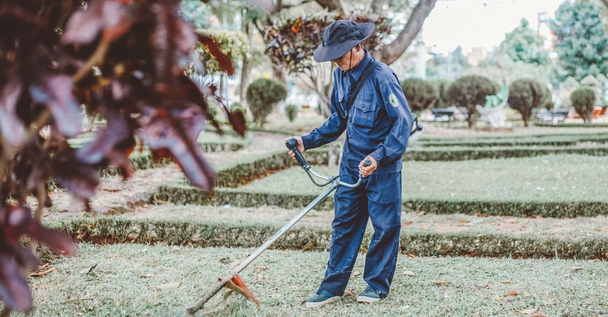 Lawn Care Products That Are Not Worth Your Money (2026)
