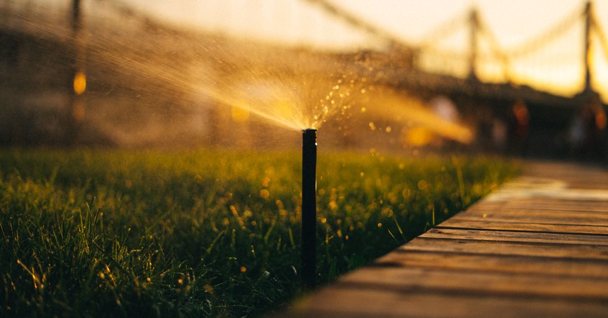 Cover image for Lawn Watering: A Complete Guide