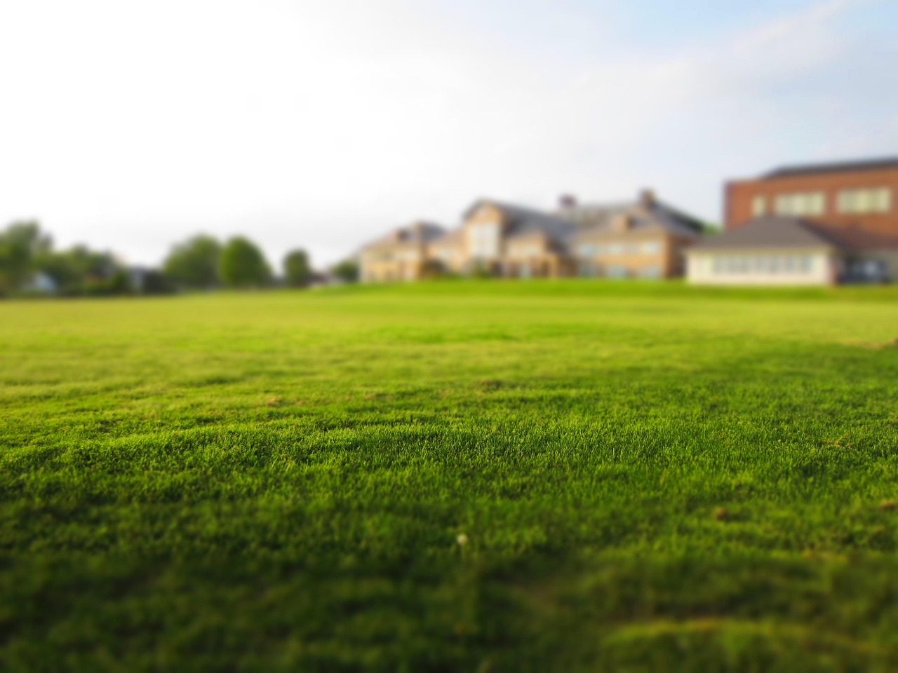 Benefits of a Mulching Lawn Mower
