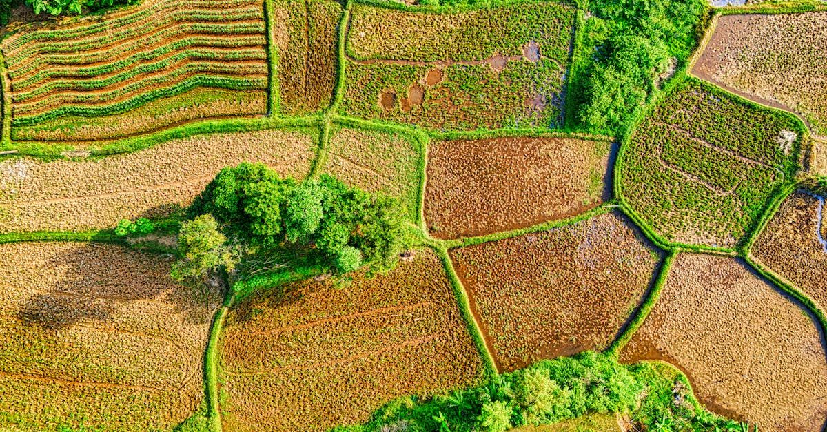 Photo by Tom Fisk on Pexels Fertilizing lawn grass