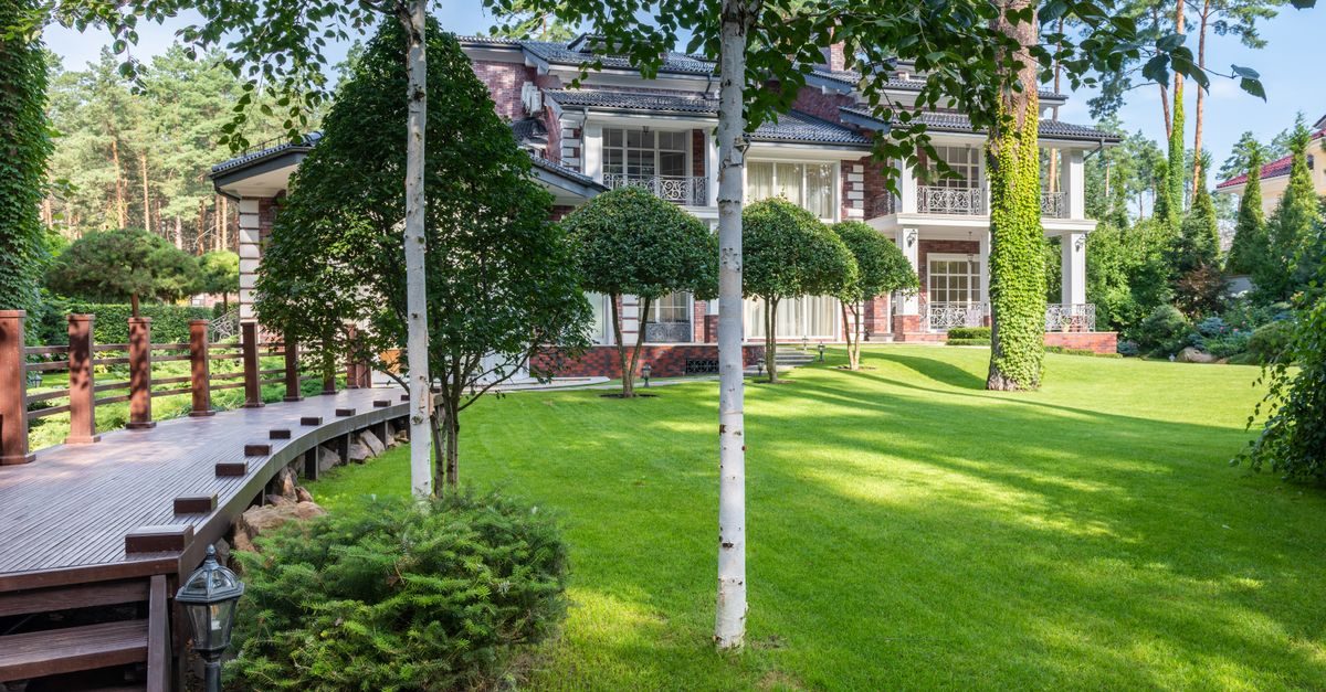 How to Keep Your Lawn Green in the Summer Heat