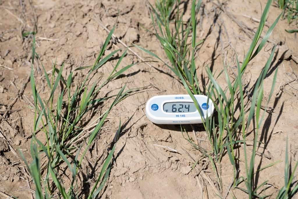 Soil Temperature Guide: When to Seed, Fertilize, and Apply Pre-Emergent