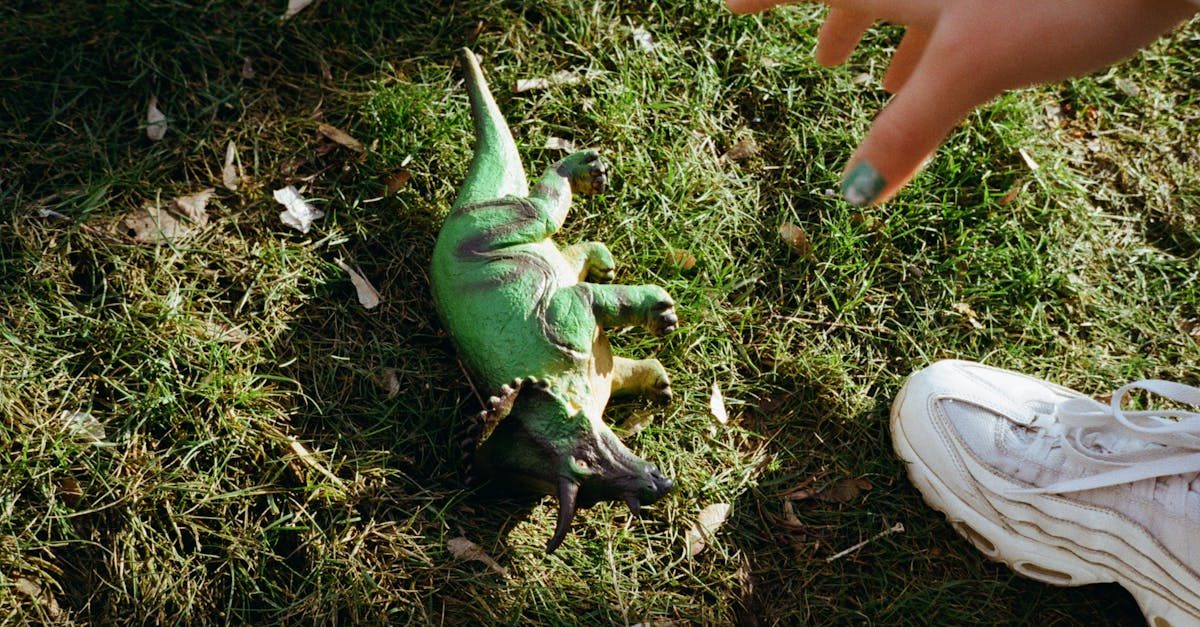 Common Lawn Weeds and How to Remove Them