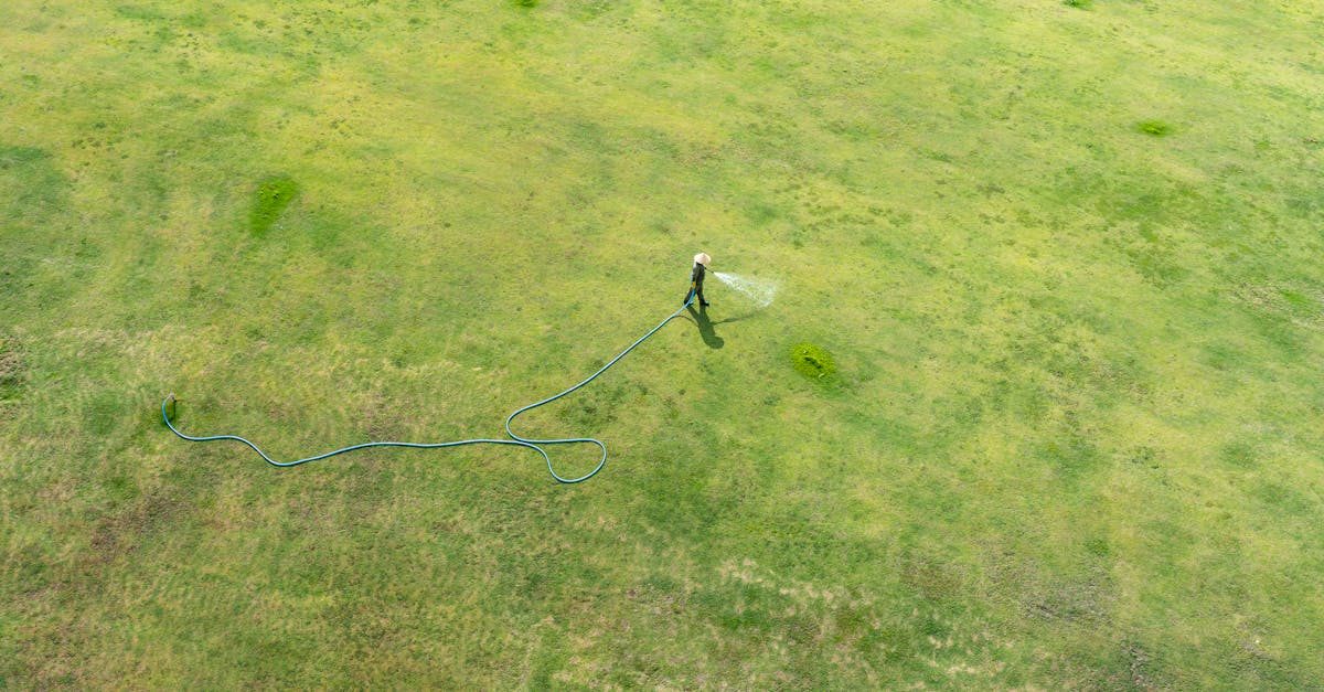 Watering lawn grass