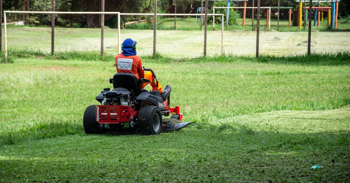 Riding Lawn Mower: Expert Tips & Guide