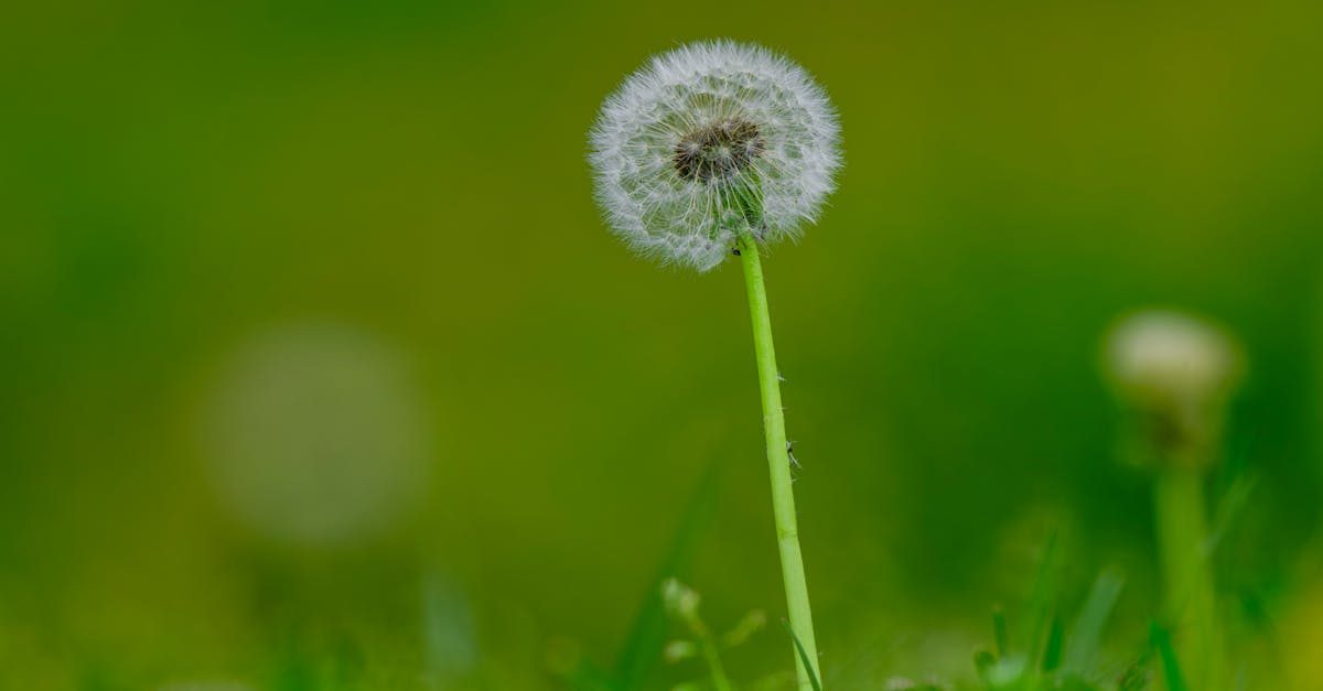 Photo by Engin Akyurt on Pexels What Other Guides Miss: Common Mistakes to Avoid photo
