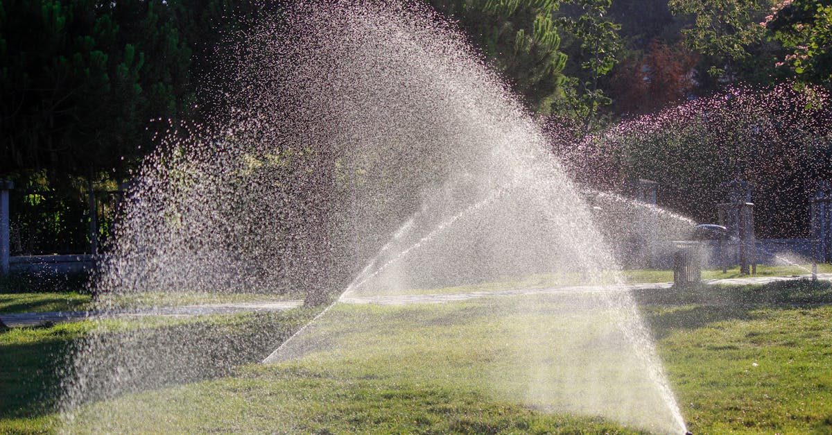 Smart Irrigation Systems: Are They Worth It?