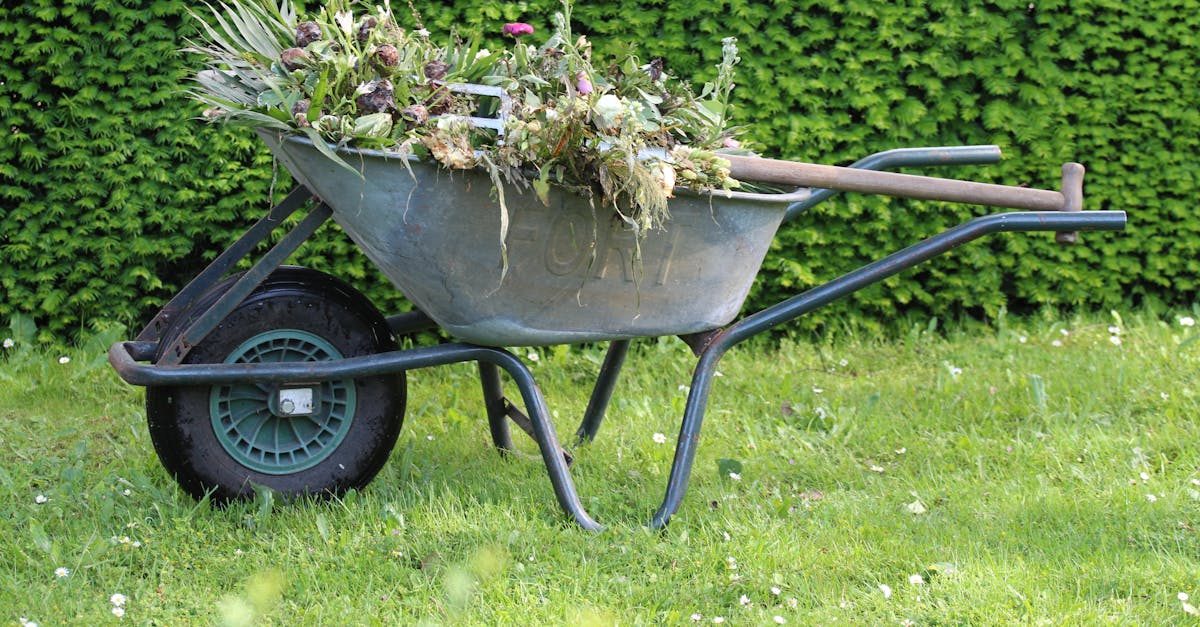 Avoid These Mistakes When Composting
