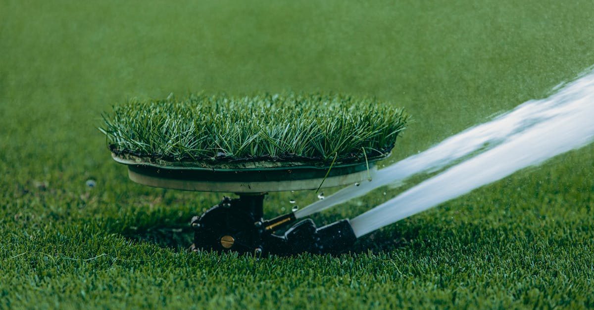 Photo by Chris wade NTEZICIMPA on Pexels Watering lawn grass