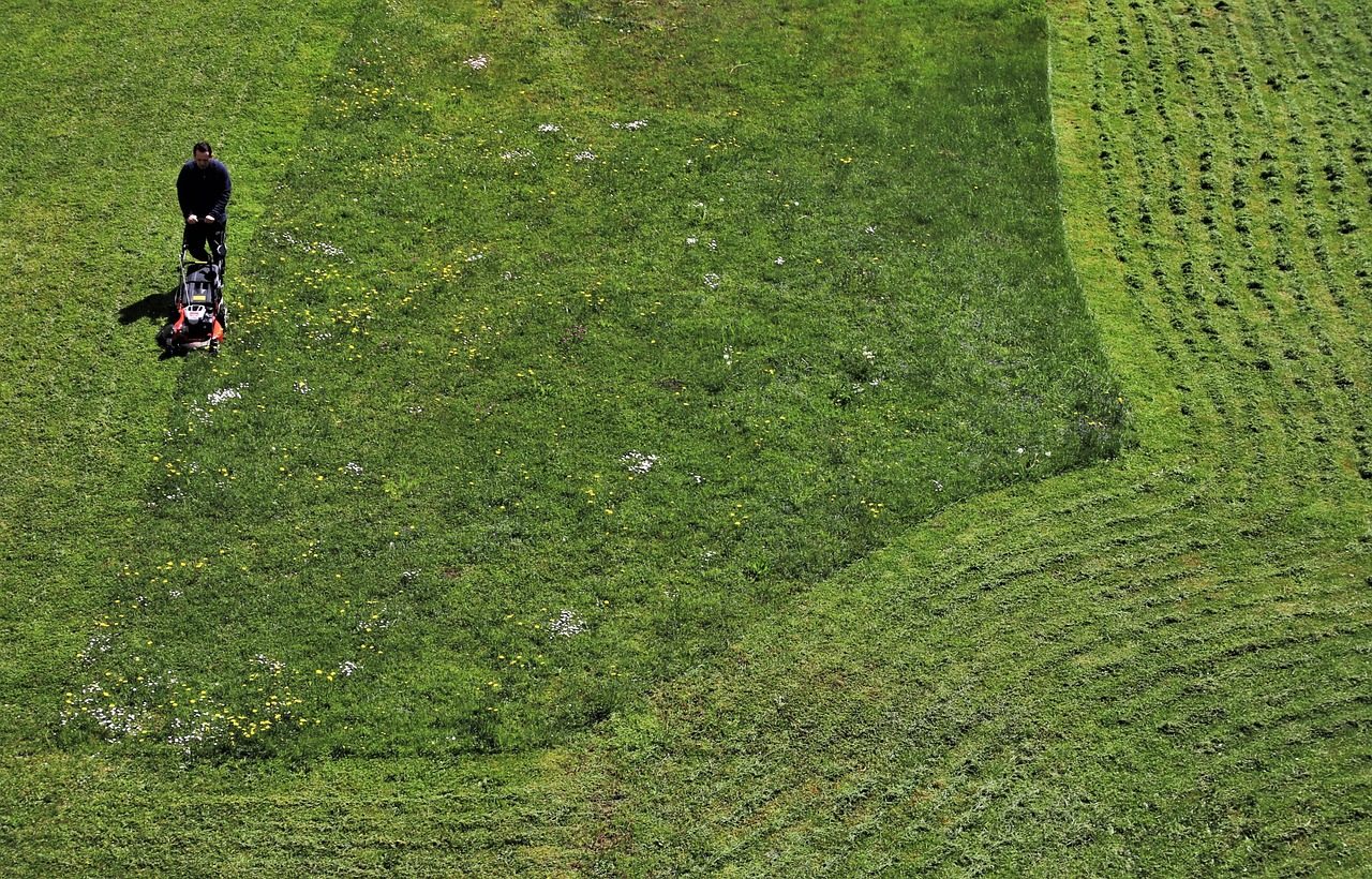 Wisconsin Spring Lawn Care 101 Expert Guide